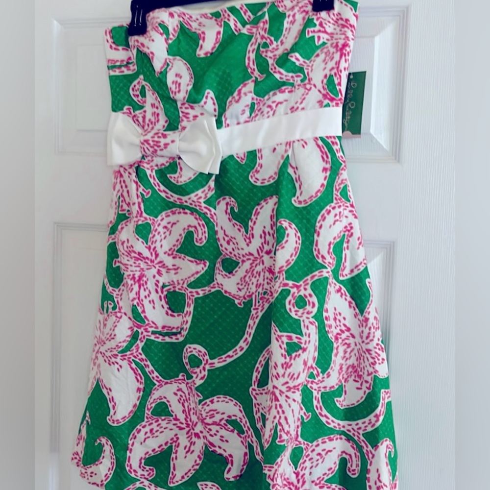 Lilly Pulitzer Amberly Dress